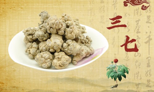 山香圆叶中药饮片怎么使用-山香圆叶中药饮片网—知名的山香圆叶中药作用网站,分享山香圆叶中药饮片图片知识